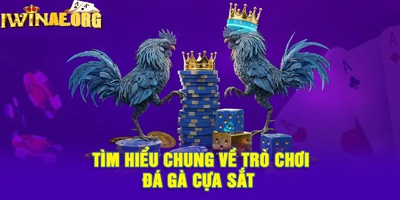 Cược Đá Gà Cựa Sắt Iwin với 3 lựa chọn